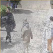 邵杰、李佳慧